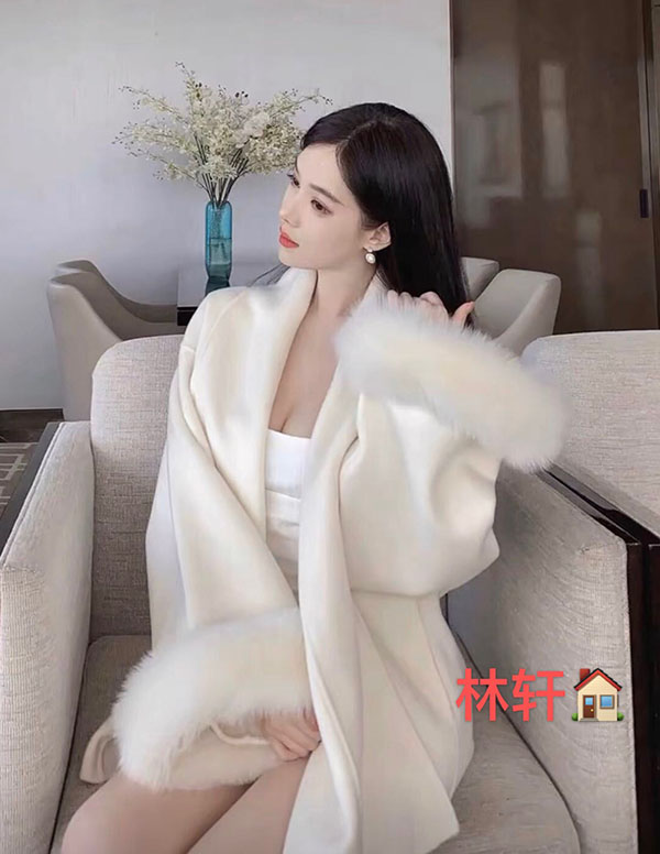 波士顿大学生伴游